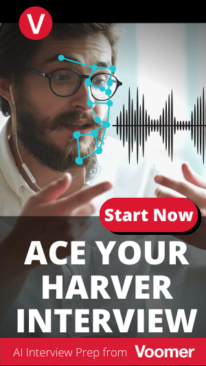 Try Voomer - Practice video interviews with AI feedback